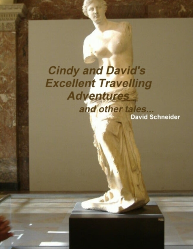 Cindy and David's Excellent Travelling Adventures av David Schneider (Paperback)