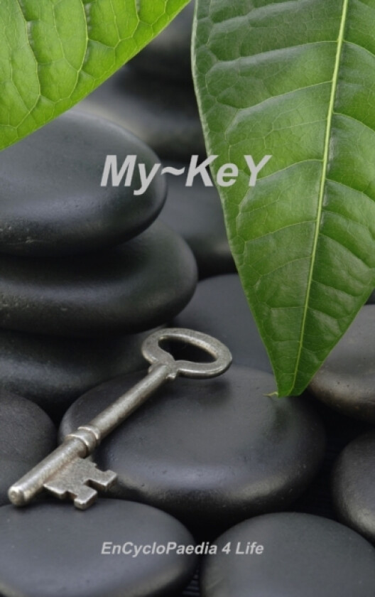 My-KeY av Wilfred Bastiani (Hardcover)