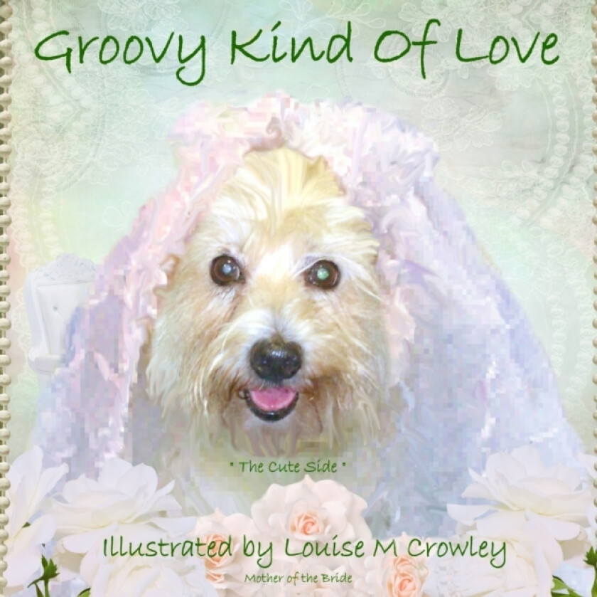 Groovy Kind Of Love av Louise M Crowley, Jan Thompson (Paperback)