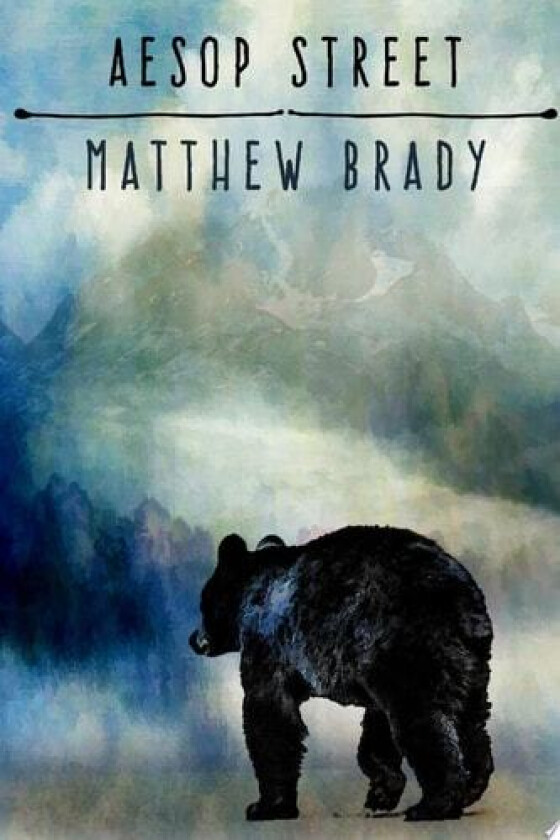 Aesop Street av Matthew Brady (Paperback)