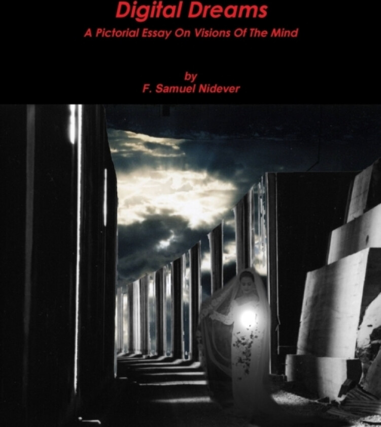 Digital Dreams av F.Samuel Nidever (Paperback)
