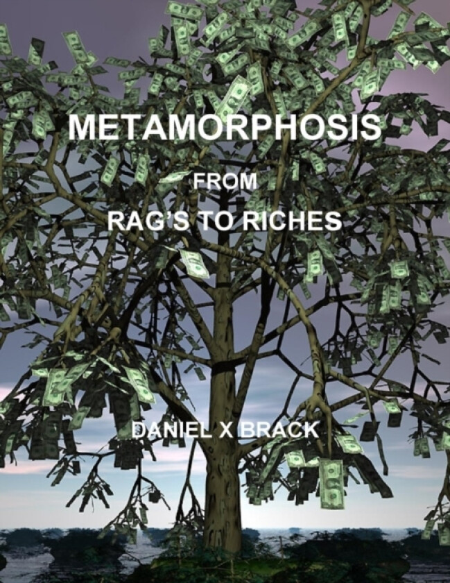 Metamorphosis from Rag's to Riches av Daniel Brack (Paperback)