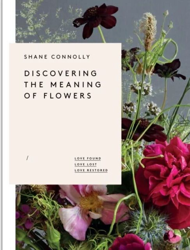 Discovering the Meaning of Flowers av Shane Connolly