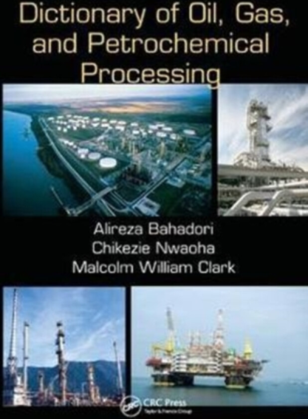 Dictionary of Oil, Gas, and Petrochemical Processing av Alireza Bahadori, Chikezie Nwaoha, Malcolm William Clark (Hardcover)