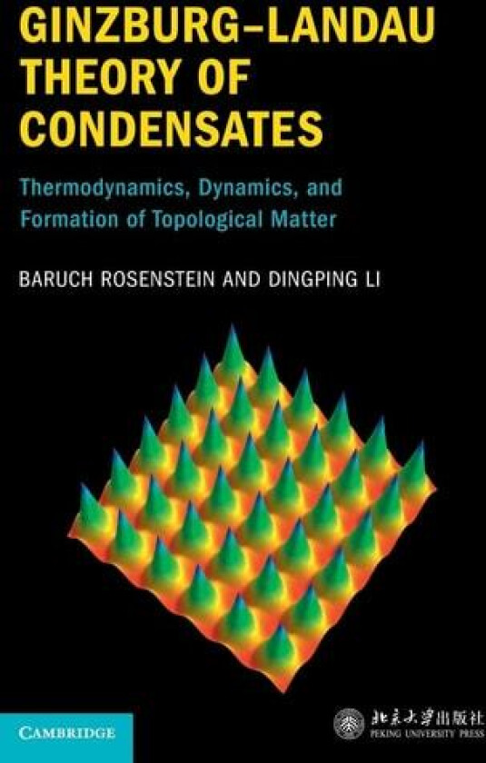 Ginzburg–Landau Theory of Condensates av Baruch Rosenstein, Dingping Li (Hardcover)