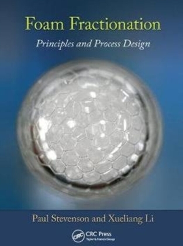 Foam Fractionation av Paul Stevenson, Xueliang Li (Paperback)