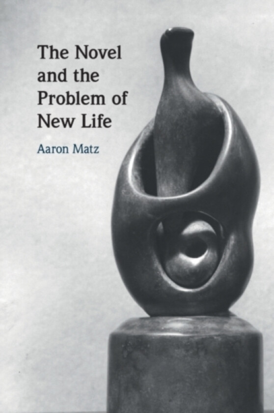The Novel and the Problem of New Life av Aaron Matz (Paperback)