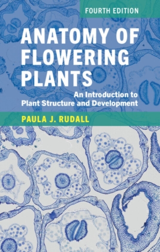 Anatomy of Flowering Plants av Paula J. Rudall (Paperback)
