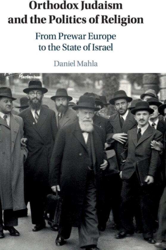 Orthodox Judaism and the Politics of Religion av Daniel Mahla (Hardcover)