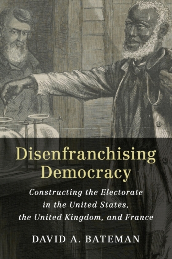 Disenfranchising Democracy av David A. Bateman (Paperback)