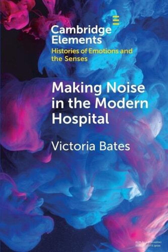Making Noise in the Modern Hospital av Victoria Bates (Paperback)