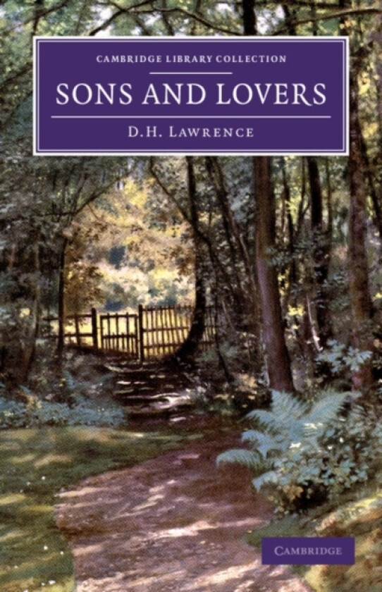 Sons and Lovers av David Herbert Lawrence (Paperback)