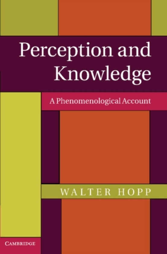 Perception and Knowledge av Walter Hopp (Paperback)