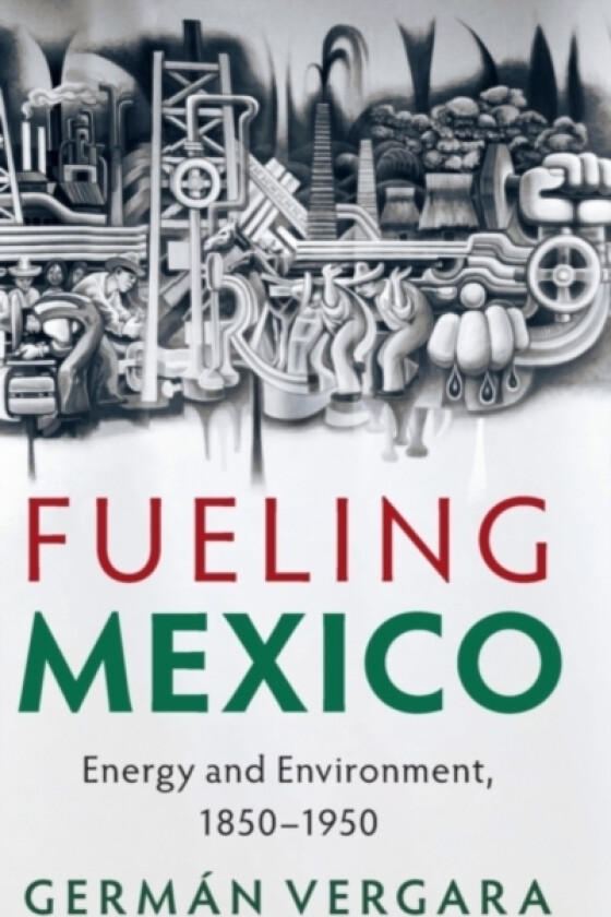 Fueling Mexico av German Vergara (Hardcover)