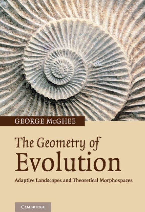 The Geometry of Evolution av George R. McGhee (Paperback)