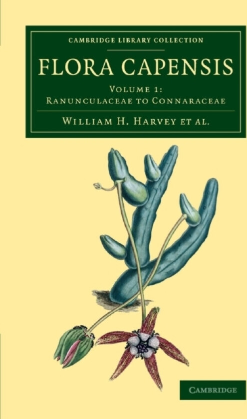 Flora Capensis av William H. Harvey, Otto Wilhelm Sonder (Paperback)