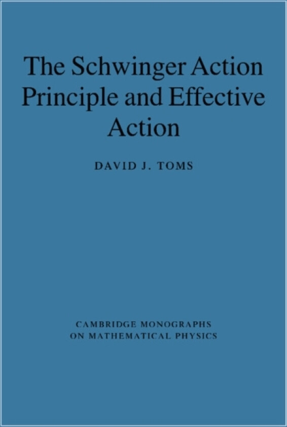 The Schwinger Action Principle and Effective Action av David J. Toms (Paperback)