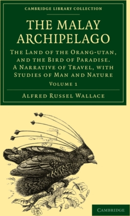 The Malay Archipelago av Alfred Russel Wallace (Paperback)