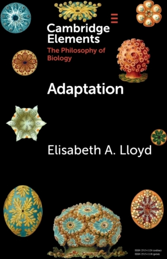 Adaptation av Elisabeth Lloyd (Paperback)