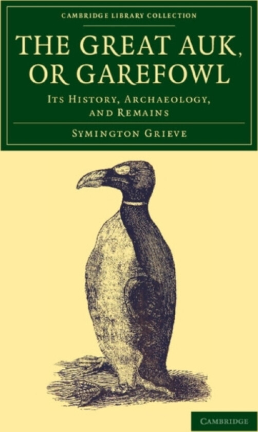 The Great Auk, or Garefowl av Symington Grieve (Paperback)