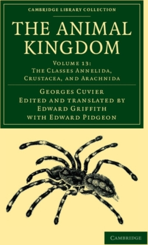 The Animal Kingdom av Georges Cuvier (Paperback)
