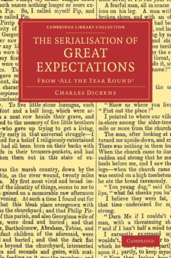 The Serialisation of Great Expectations av Charles Dickens (Paperback)