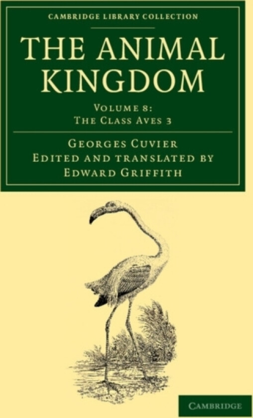 The Animal Kingdom av Georges Cuvier (Paperback)
