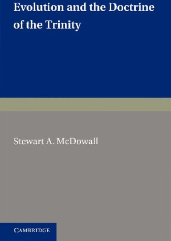 Evolution and the Doctrine of the Trinity av Stewart A. McDowall (Paperback)