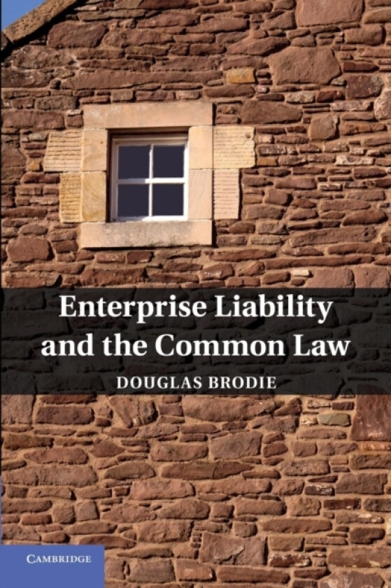 Enterprise Liability and the Common Law av Douglas Brodie (Paperback)