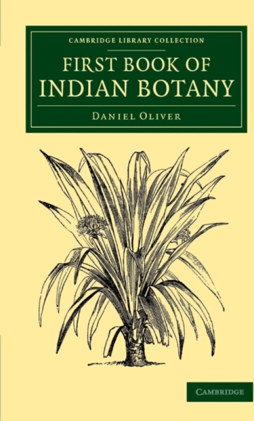 First Book of Indian Botany av Daniel Oliver (Paperback)
