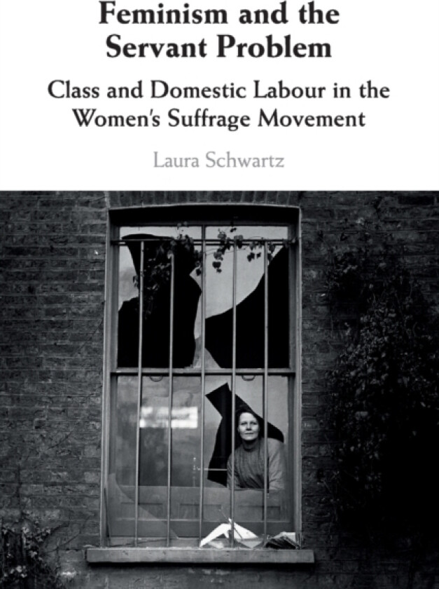 Feminism and the Servant Problem av Laura Schwartz (Paperback)