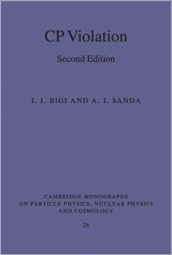 CP Violation av I.I. Bigi, A.I. Sanda (Paperback)