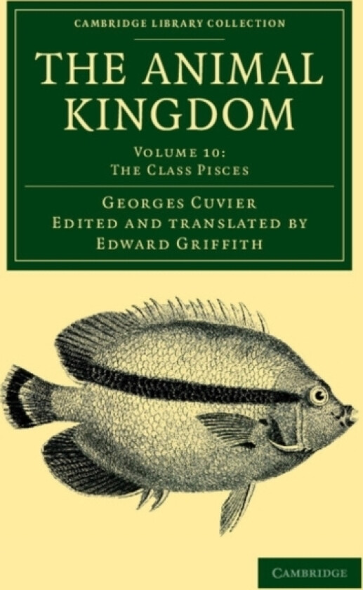 The Animal Kingdom av Georges Cuvier (Paperback)
