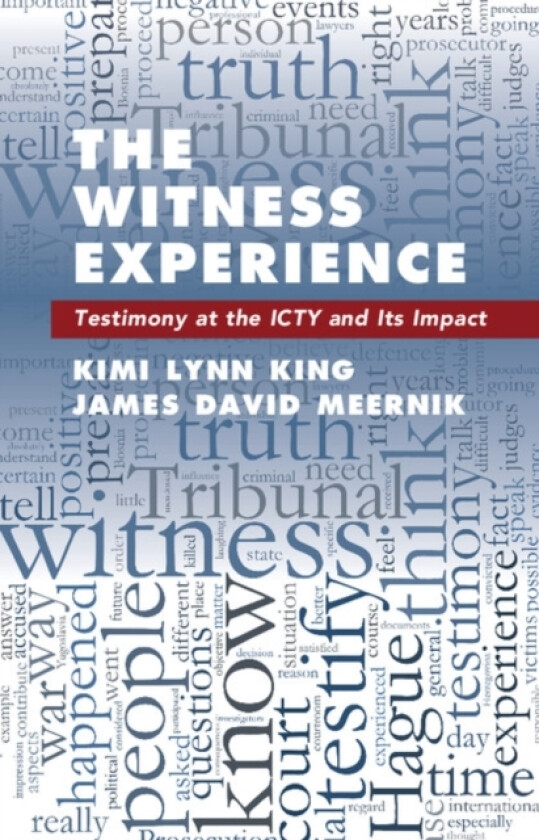 The Witness Experience av Kimi Lynn King, James David Meernik (Hardcover)