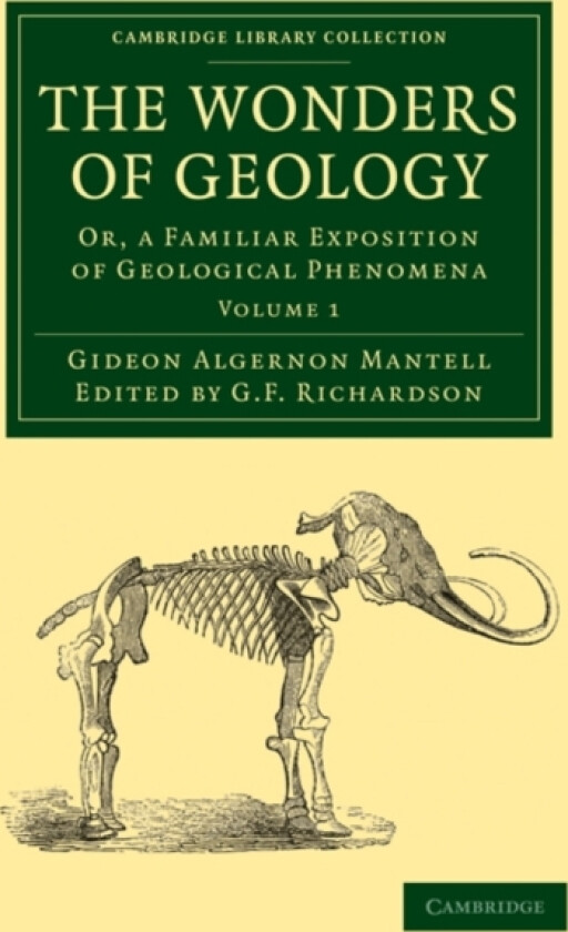 The Wonders of Geology av Gideon Algernon Mantell (Paperback)