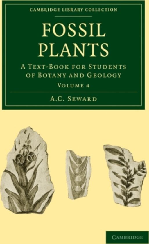 Fossil Plants av A.C. Seward (Paperback)
