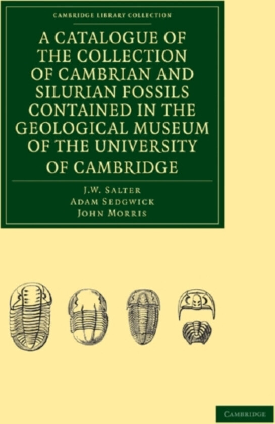 A Catalogue of the Collection of Cambrian and Silurian Fossils Contained in the Geological Museum of the University of Cambridge av J.W. Salter, Adam Sedgwick, John Morris (Paperback)