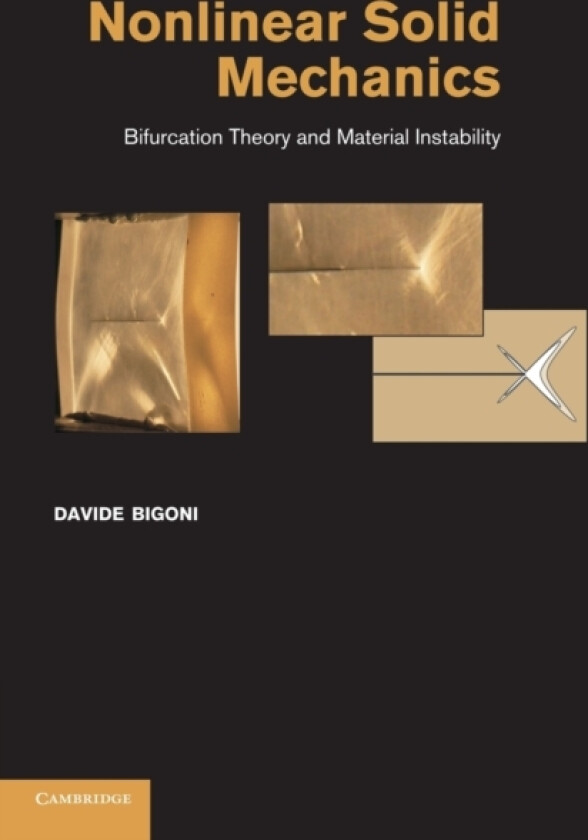 Nonlinear Solid Mechanics av Davide Bigoni (Paperback)