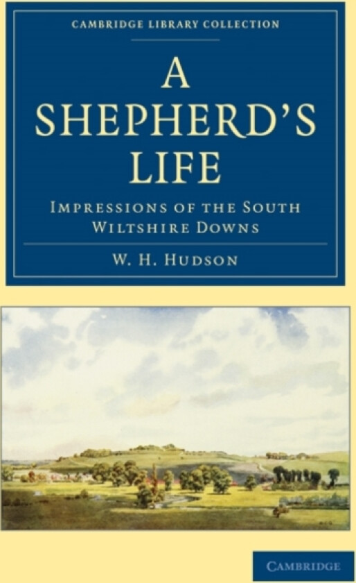 A Shepherd's Life av William Henry Hudson (Paperback)