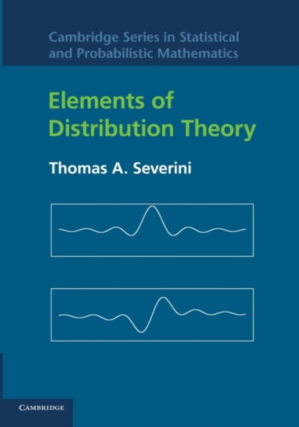 Elements of Distribution Theory av Thomas A. Severini (Paperback)