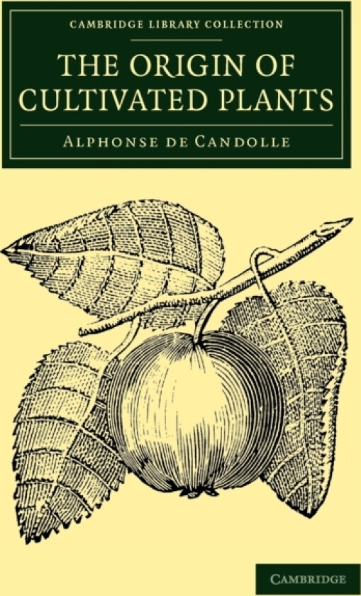 The Origin of Cultivated Plants av Alphonse de Candolle (Paperback)