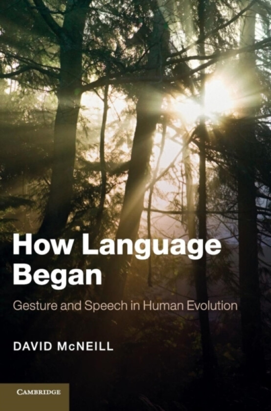 How Language Began av David McNeill (Hardcover)