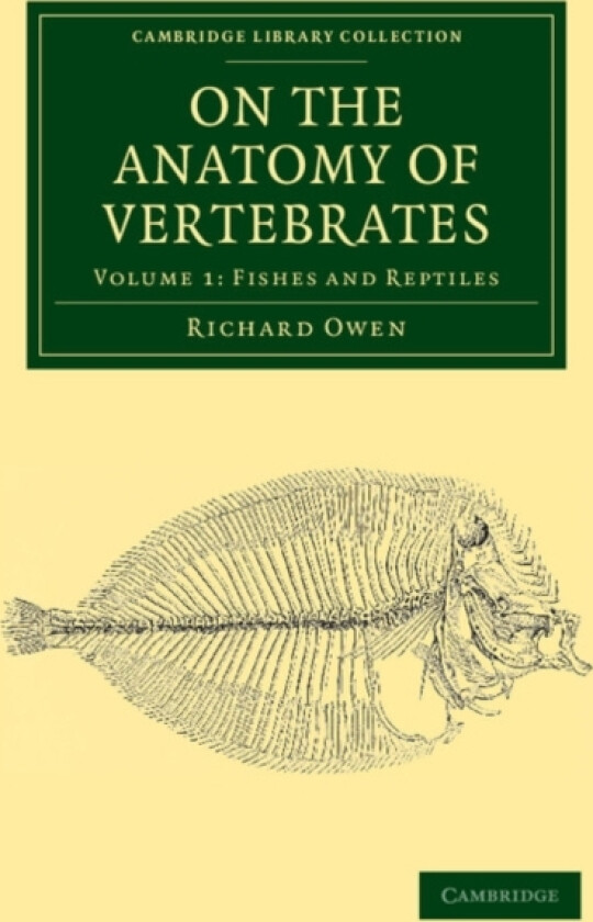 On the Anatomy of Vertebrates av Richard Owen (Paperback)