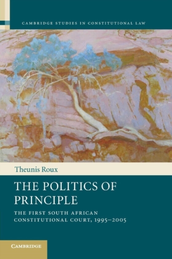 The Politics of Principle av Theunis Roux (Paperback)