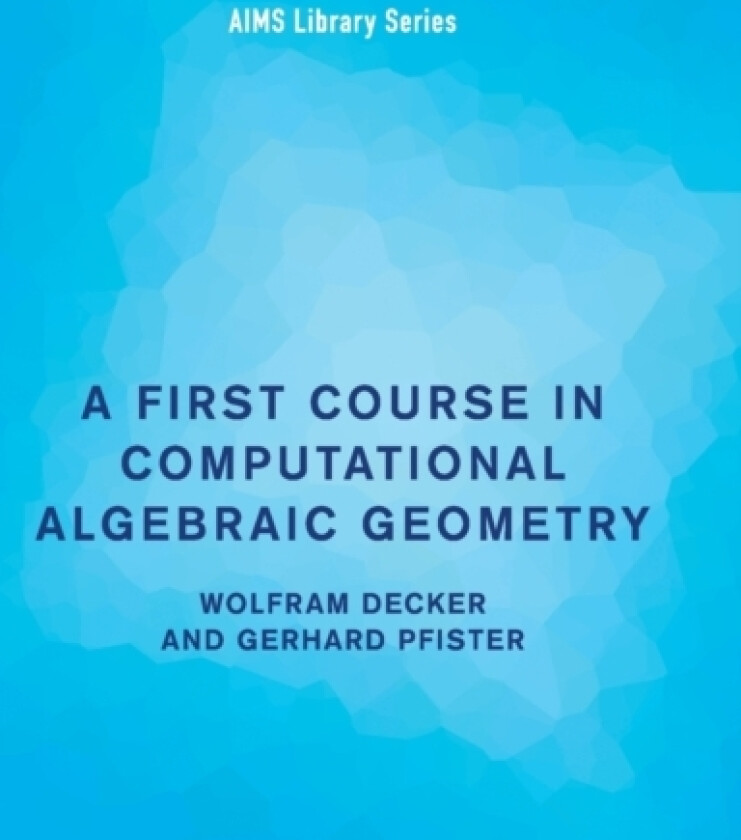 A First Course in Computational Algebraic Geometry av Wolfram Decker, Gerhard Pfister (Paperback)