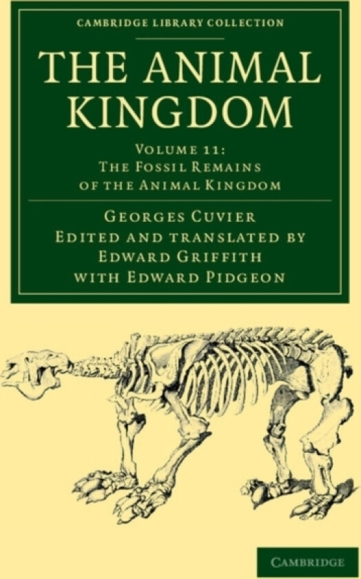 The Animal Kingdom av Georges Cuvier (Paperback)