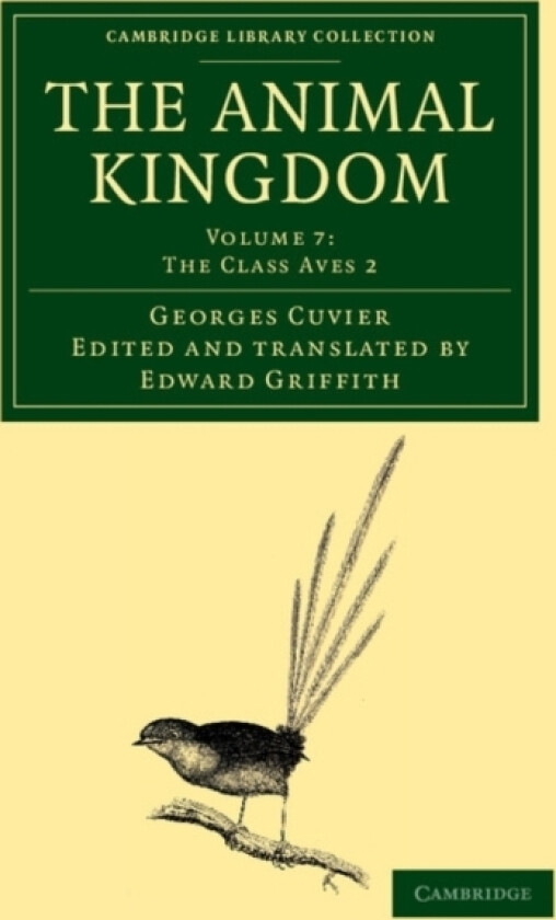 The Animal Kingdom av Georges Cuvier (Paperback)