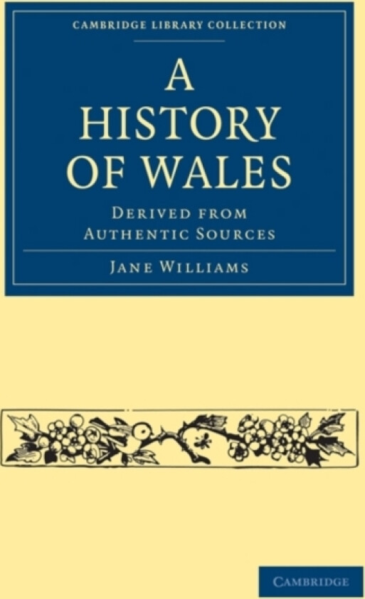 A History of Wales av Jane Williams (Paperback)