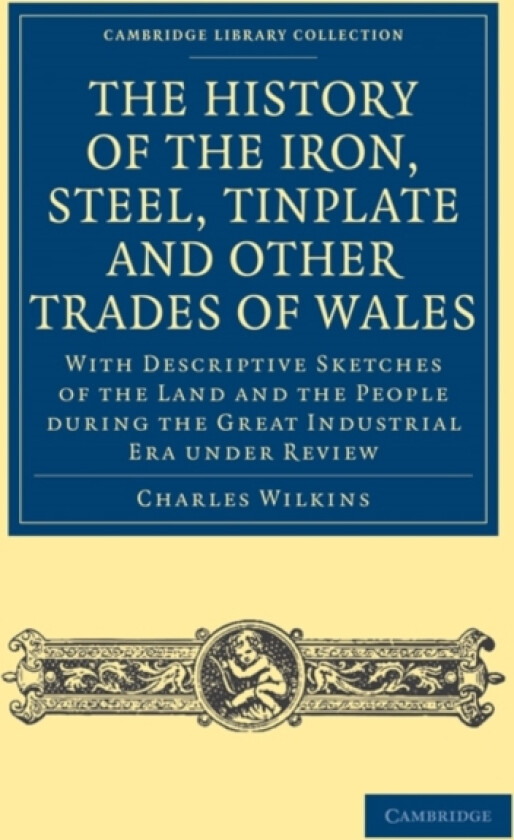 History of the Iron, Steel, Tinplate and Other Trades of Wales av Charles Wilkins (Paperback)