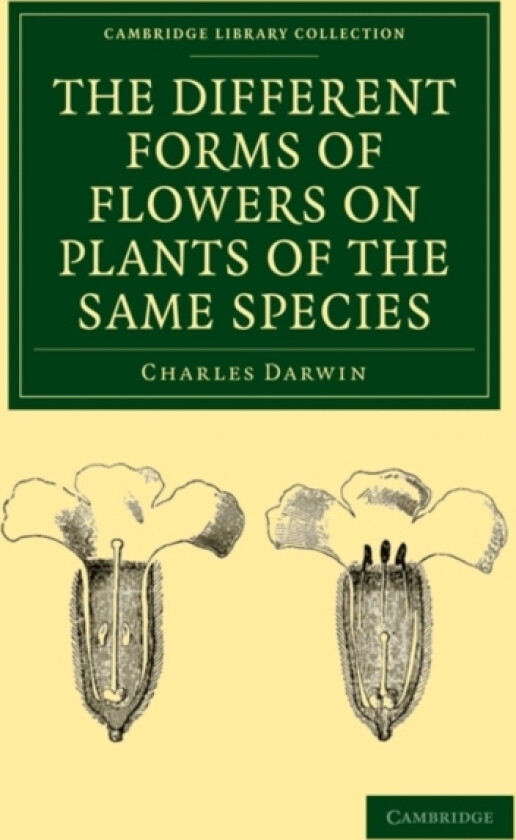The Different Forms of Flowers on Plants of the Same Species av Charles Darwin (Paperback)